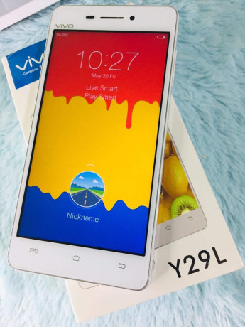 vivo-y29l-big-2