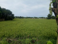 11000-sqm-lot-for-sale-in-iba-zambales-small-5