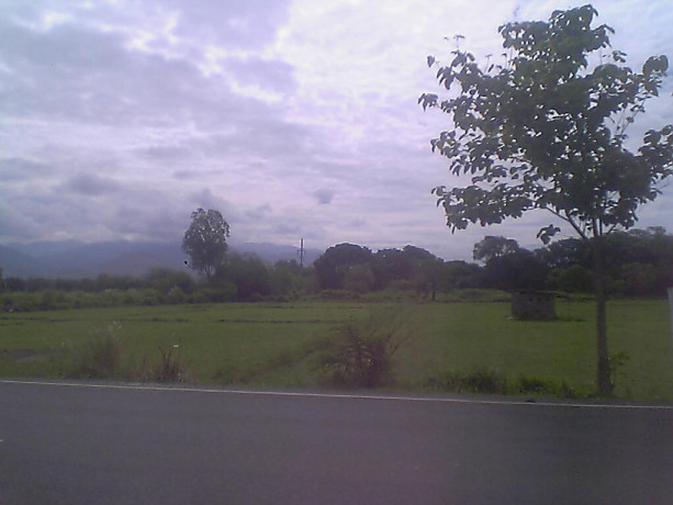 11000-sqm-lot-for-sale-in-iba-zambales-big-2