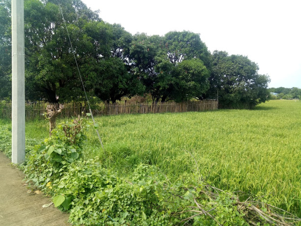 11000-sqm-lot-for-sale-in-iba-zambales-big-1