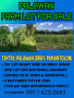 farm-lot-for-sale-in-taytay-palawan-p5000-per-sqm-small-0