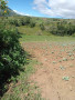 titled-farm-land-in-lantapan-bukidnon-small-1