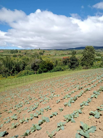 titled-farm-land-in-lantapan-bukidnon-big-2