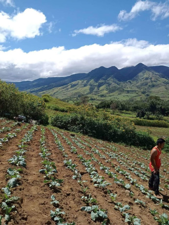 titled-farm-land-in-lantapan-bukidnon-big-0