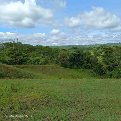 7-hectares-of-land-with-overlooking-view-of-the-forest-big-0