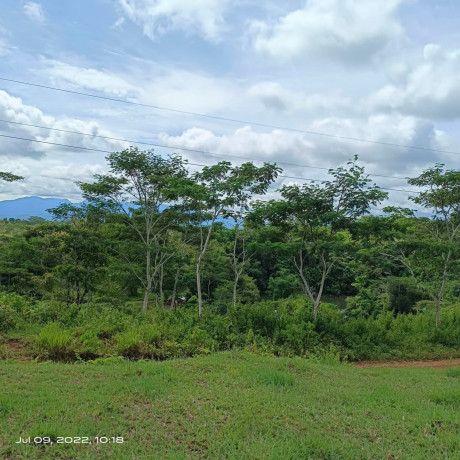 7-hectares-of-land-with-overlooking-view-of-the-forest-big-1