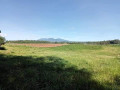 89-hectares-of-land-in-malaybalay-city-bukidnon-small-4