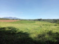 89-hectares-of-land-in-malaybalay-city-bukidnon-small-2