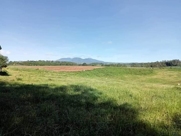 89-hectares-of-land-in-malaybalay-city-bukidnon-big-4