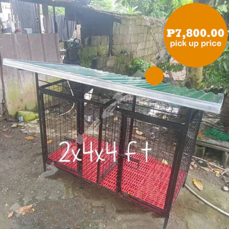 outdoor-2x4ft-wide-2-door-dog-cages-big-1