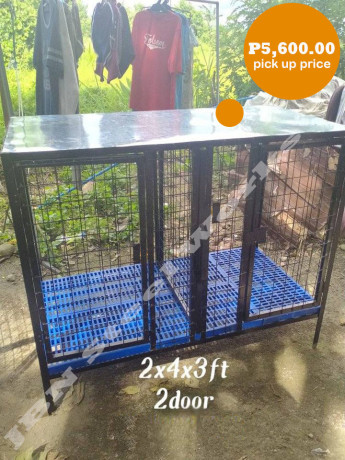 outdoor-2x4ft-wide-2-door-dog-cages-big-0