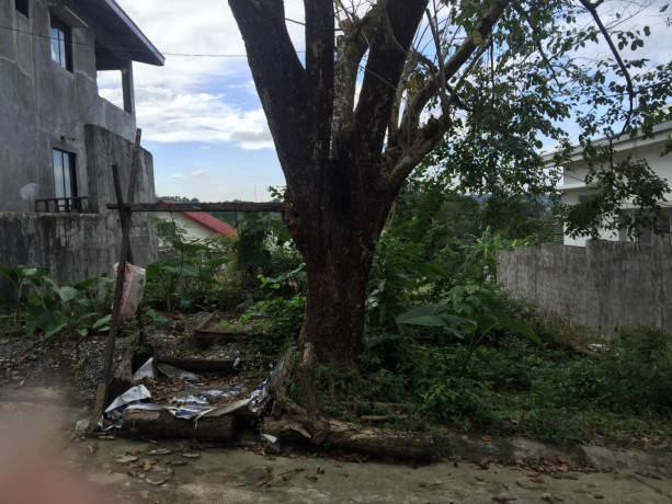 antipolo-lot-town-country-hills-overlooking-big-0