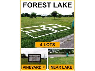 For Sale Forest Lake / Eternal Gardens Lot in Binan Laguna