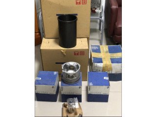 Pistons and Cylinder Liner for Hino Dump Truck