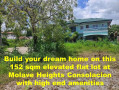 flat-elevated-lot-molave-highlands-consolacion-cebu-sale-small-0