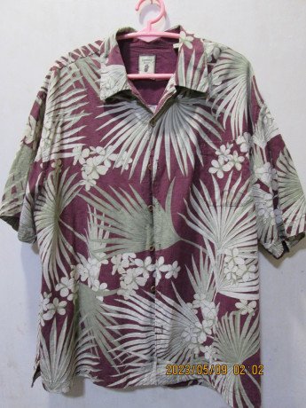 hawaiian-style-polo-short-sleeve-big-0