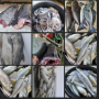 fresh-assorted-fish-and-seafood-small-0