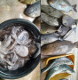 fresh-assorted-fish-and-seafood-small-1