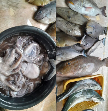 fresh-assorted-fish-and-seafood-big-1