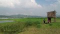 8537-sqm-farm-lot-rice-field-morong-rizal-small-4