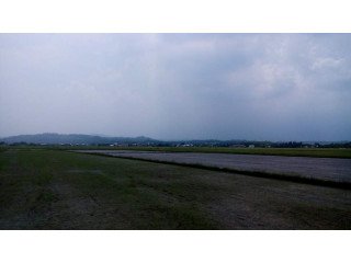 8537 sqm farm lot (rice field) morong rizal