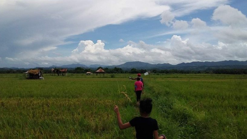8537-sqm-farm-lot-rice-field-morong-rizal-big-2