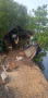 fishpond-for-leasefor-rent-small-0