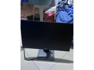 Dell 22" IPS Monitor - Good For Starters