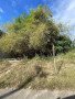 2-adjoining-vacant-lots-for-lease-ecr-real-estate-consult-small-1
