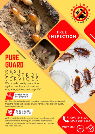 pest-control-services-termite-control-rats-cockroaches-ants-big-0