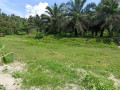 lot-4-sale-near-bunawan-area-boundary-of-bunawan-and-panabo-small-2