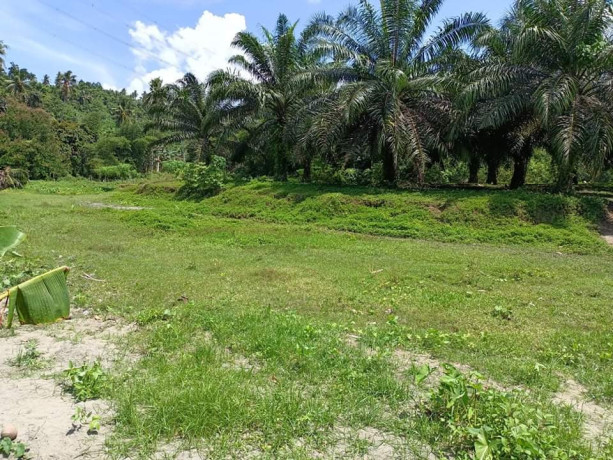 lot-4-sale-near-bunawan-area-boundary-of-bunawan-and-panabo-big-2