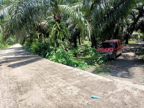 lot-4-sale-near-bunawan-area-boundary-of-bunawan-and-panabo-big-1