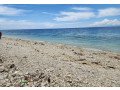 beach-resort-in-oslob-cebu-philippines-small-0