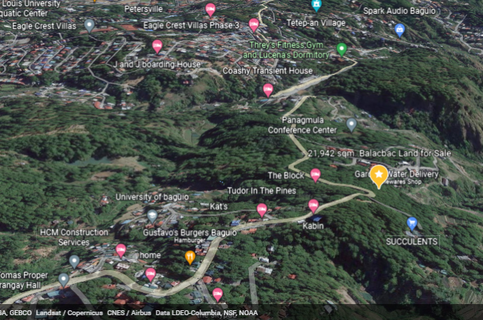 219-hectare-lot-for-sale-mountainside-estate-in-baguio-city-big-4