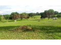 land-for-sale-in-villasis-pangasinan-small-2