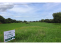 land-for-sale-in-villasis-pangasinan-small-0