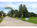 15-hectares-farm-land-for-sale-in-villasis-pangasinan-small-3