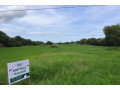 15-hectares-farm-land-for-sale-in-villasis-pangasinan-small-0