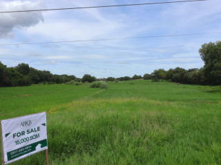 1.5 hectares Farm Land for Sale in Villasis, Pangasinan