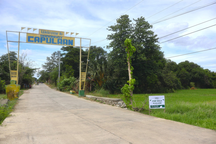 15-hectares-farm-land-for-sale-in-villasis-pangasinan-big-3