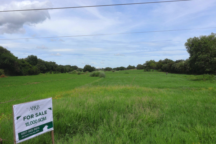 15-hectares-farm-land-for-sale-in-villasis-pangasinan-big-0