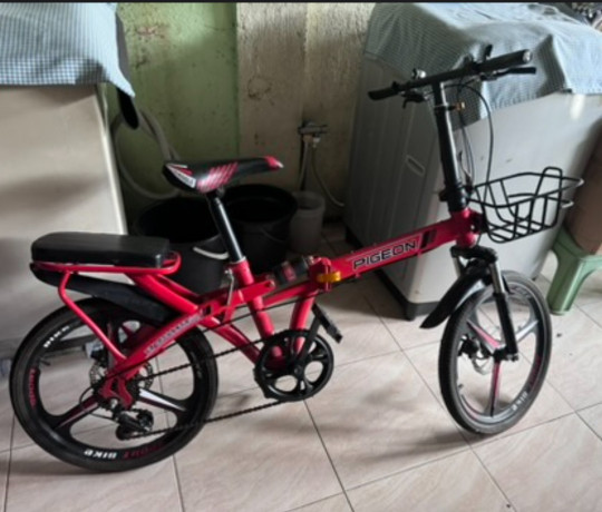 folding-bike-20-inches-big-0