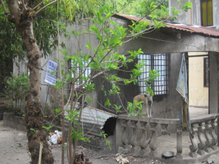 House And Lot in Binangonan Rizal