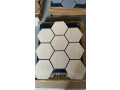 hexagonal-aku-panel-small-1