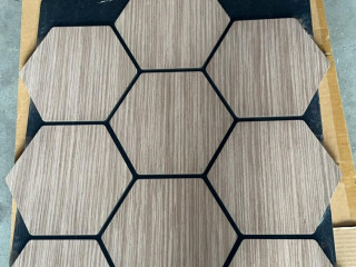 HEXAGONAL AKU PANEL