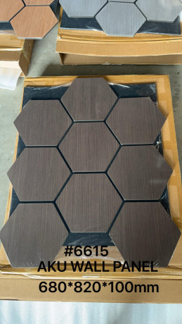 hexagonal-aku-panel-big-4