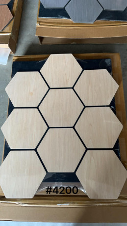 hexagonal-aku-panel-big-1