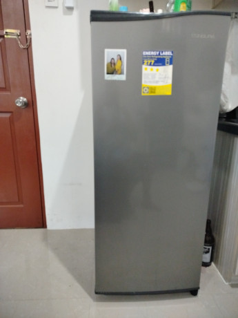 refrigerator-big-1