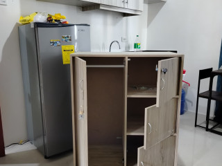 Cabinet shelves hanger